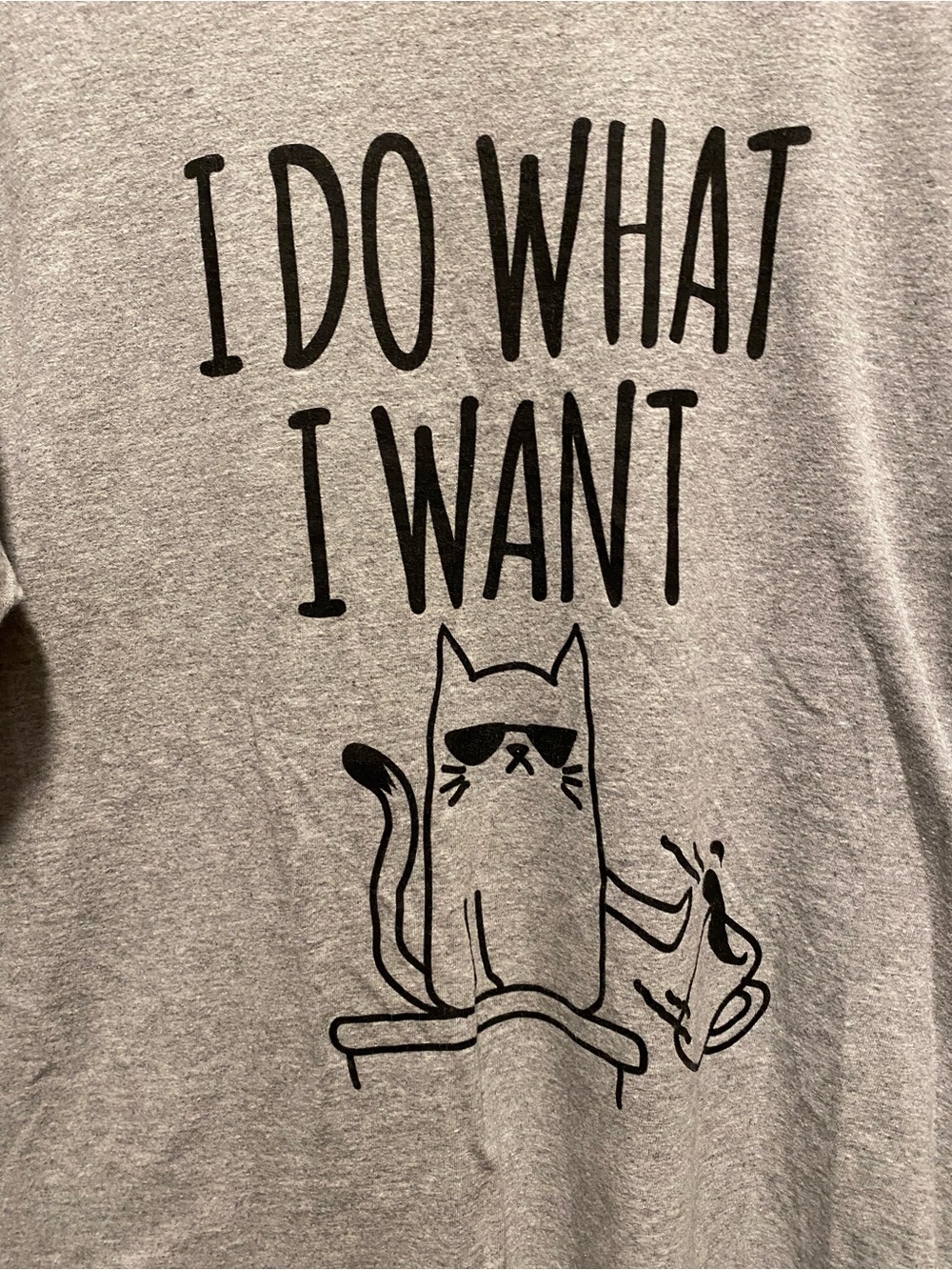(3/$15) Men’s Large Gray Cat Graphic Tee - I Do What I Want